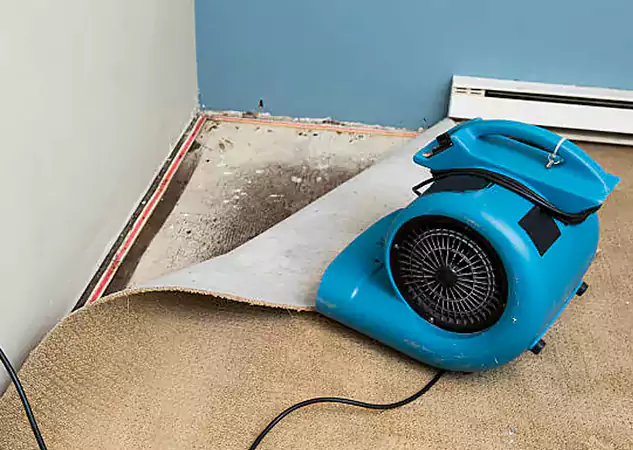 Your Water Damage Experts in Hogansville, GA