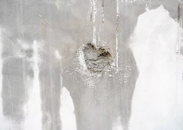 Your Mold Mitigation Solutions Partner in Hogansville, GA