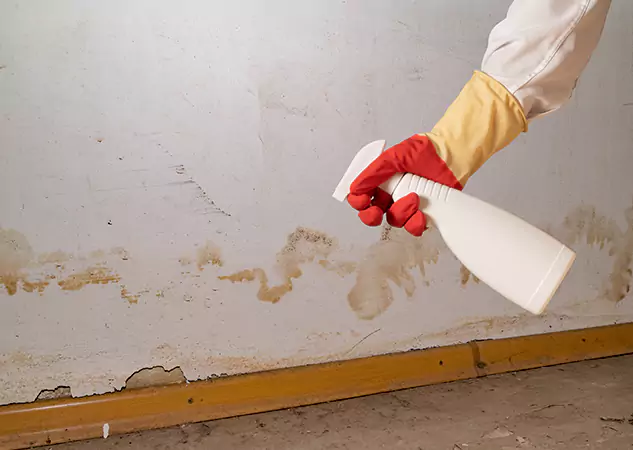 Your Water Restoration and Mold Remediation Specialists in Hogansville, GA