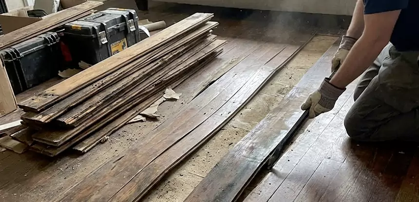 Wood Rot and Fungus Repair in Hogansville