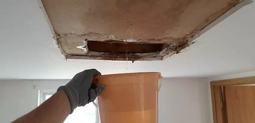 Ceiling Mold Repair Hogansville