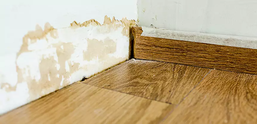 Professional Fix Water Damaged Wood Services in Hogansville, GA