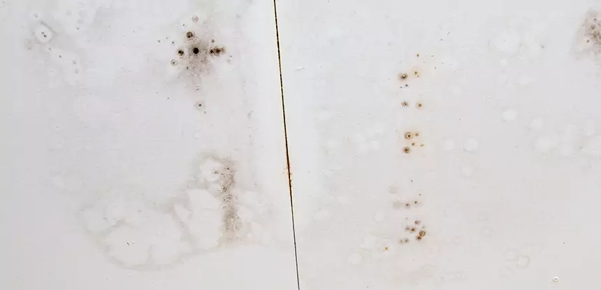 Professional Water Stain Repair Services in Hogansville, GA