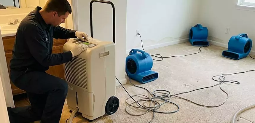 Professional Wet Carpet Removal Services in Hogansville, GA