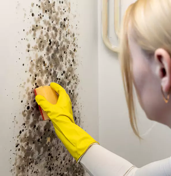 Why Hogansville Restoration Pro Leads Mold Remediation in Hogansville?
