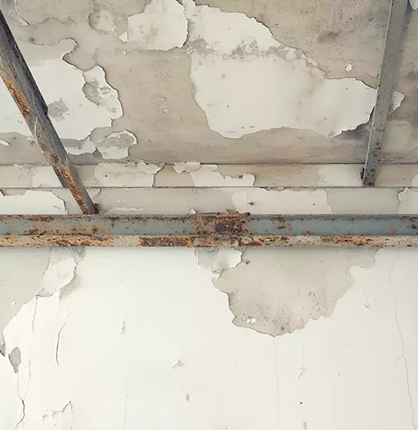 Why Hogansville Restoration Pro Is the Right Choice in Hogansville, GA?