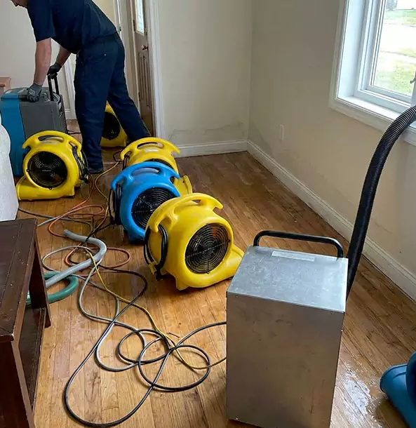 Why Hogansville Property Owners Choose Hogansville Restoration Pro for Remediation?
