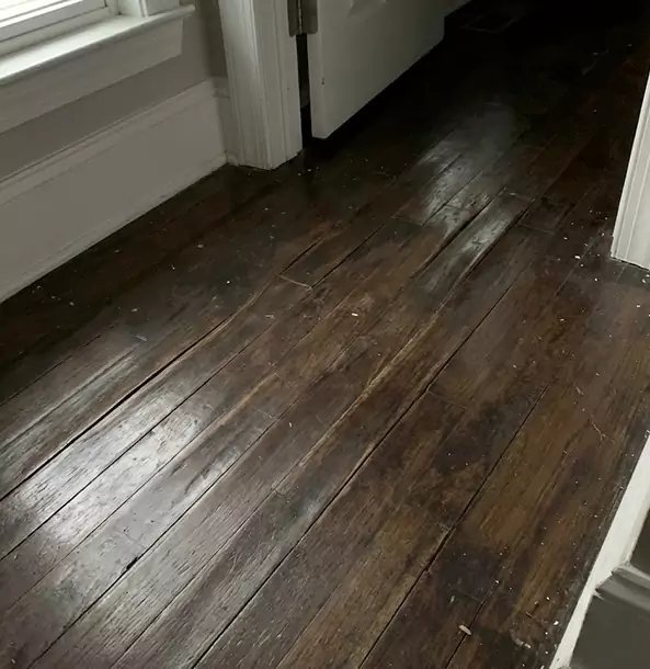 Why Hogansville Homeowners Trust Hogansville Restoration Pro to Fix Water Damaged Wood?