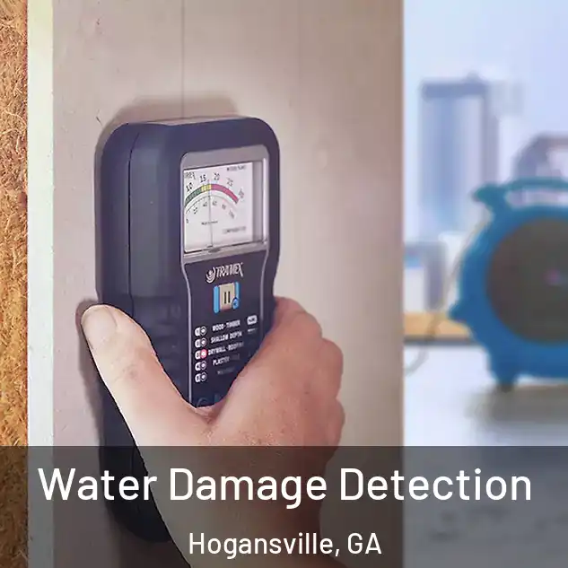  Water Damage Detection Hogansville, GA