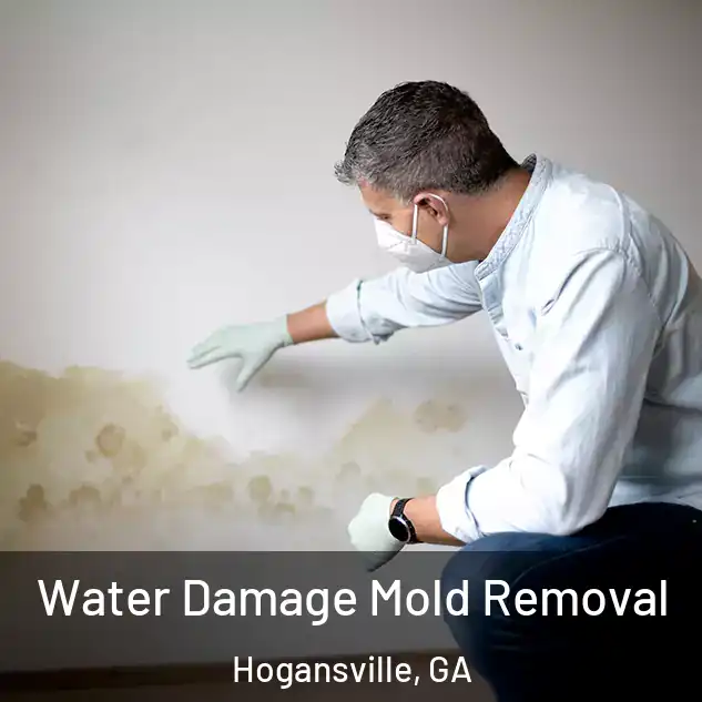  Water Damage Mold Removal Hogansville, GA
